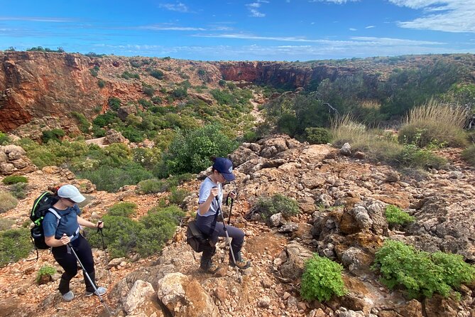 Cape Range National Park Full-Day Trekking Adventure - Positive Customer Reviews