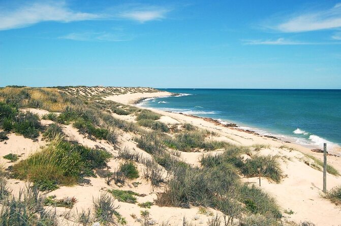 Cape Range National Park Full-Day Trekking Adventure - Trekking Through Magnificent Landscapes