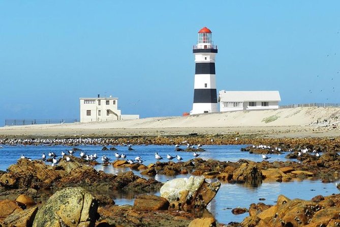 Cape Recife, Lighthouse and 4x4 Grysbok Reserve - HD14 - Pickup Information
