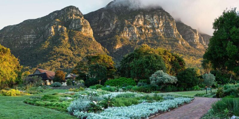 Cape Road Trip, Kirstenbosch Gardens Tour, 3-Course Lunch - Key Points
