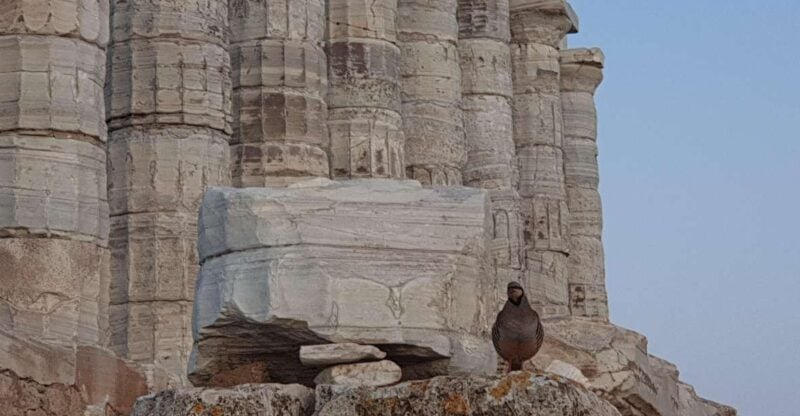 Cape Sounio:Temple of Poseidon Private Trip From Athens - Private Transportation Comfort and Convenience