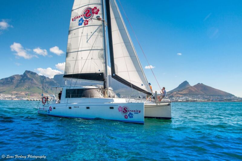 Cape Town: 1.5-Hour Luxury Sunset Cruise With Prosecco - Key Points
