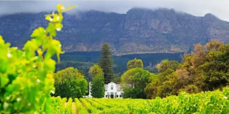 Cape Town 1 Day Tour (Table Mountain & Cape Winelands) - Key Points