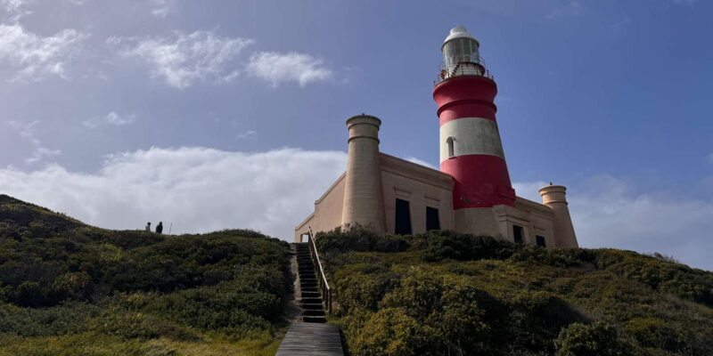 Cape Town: 2-Day Safari at 4-Star Garden Route Game Lodge - Itinerary Highlights