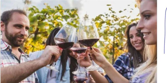 Cape Town 3 Days Private Safari (No Accommodation) - Stellenbosch Wine Tasting