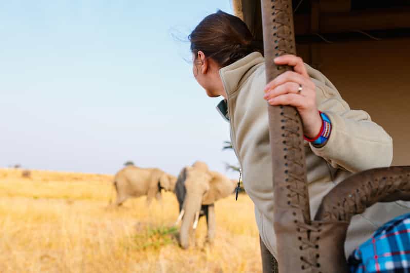 Cape Town 4 Day: Table Mountain, Robben Island & Safari Tour - Exploring Cape Town