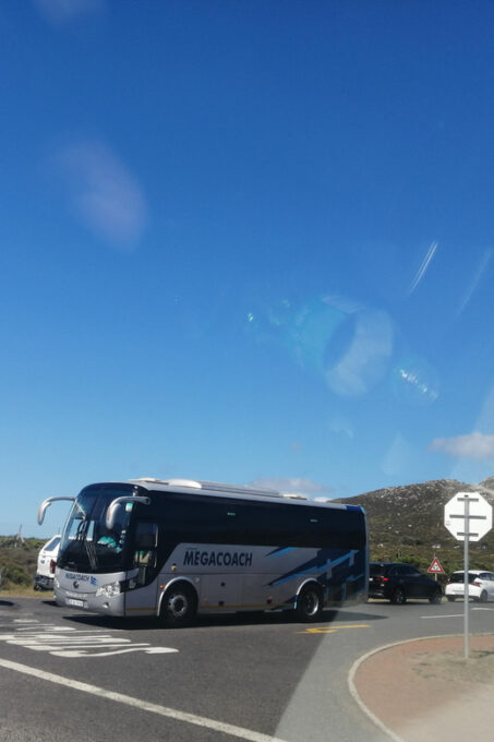 Cape Town :Airport Pick up / Drop off - Pet Policy