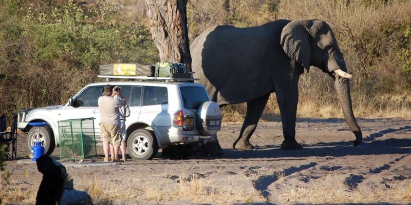 Cape Town: Aquila Game Reserve Big 5 Safari With Lunch - Experience Details