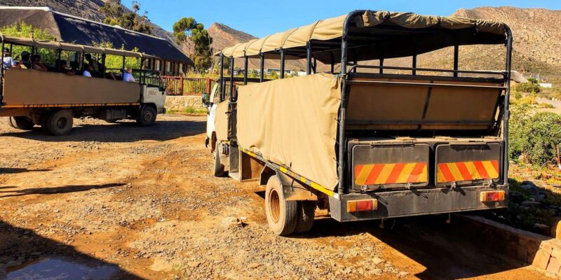 Cape Town: Aquila Reserve Safari With Lunch and Winery Visit - Group Size and Language