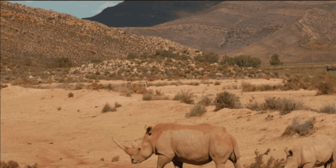 Cape Town : Aquilla Private Game Reserve Sunset Safari - What to Bring