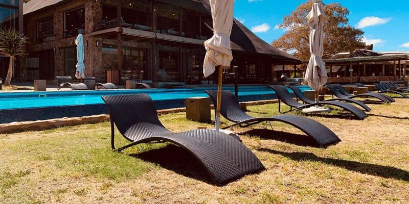 Cape Town: Big Five Safari Game Drive (Optional Wine Tasting - Pickup and Drop-off