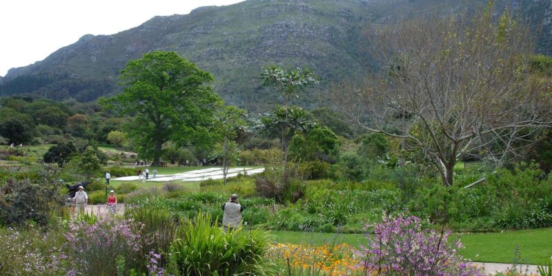 Cape Town Birds & Gardens. Private Tour. - Preparation and Restrictions