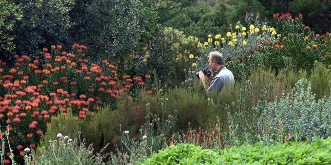 Cape Town Birds & Gardens. Private Tour. - Pickup and Transportation