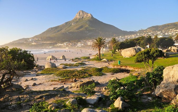 Cape Town Boat Trip - Key Points