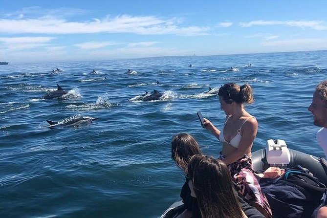 Cape Town Boat Trip - Meeting and Pickup Information