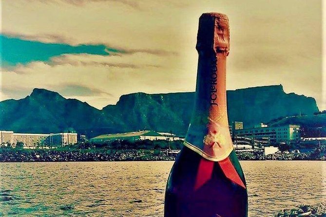 Cape Town Boat Trip - Accessibility and Additional Information