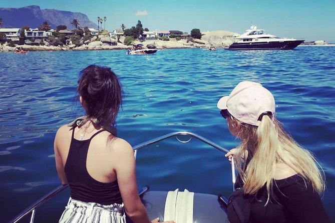 Cape Town Boat Trip - Wildlife Sightings