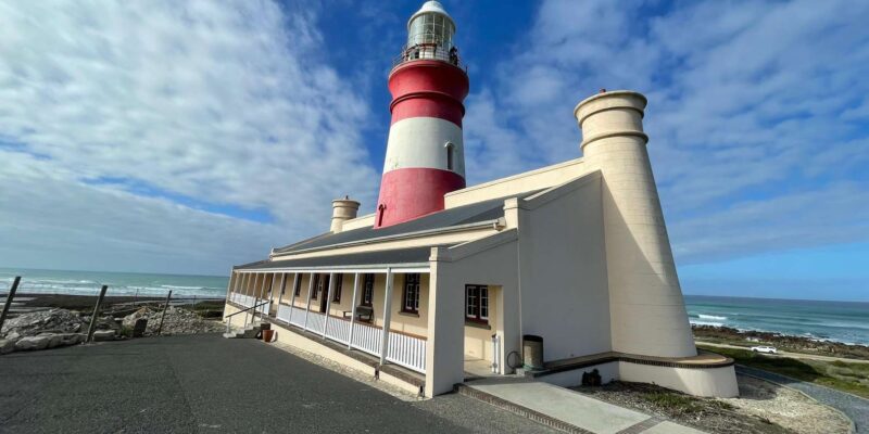 Cape Town: Cape Agulhas and Stony Point Penguin Tour - Customer Reviews and Recommendations