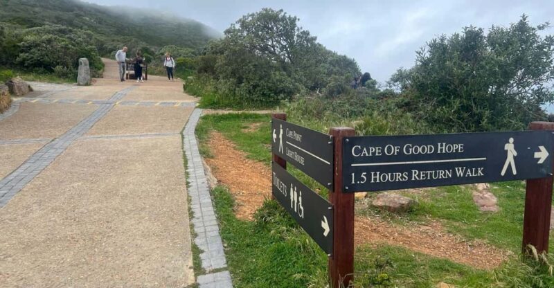 Cape Town: Cape of Good Hope and Boulders Beach Private Tour - Itinerary Highlights