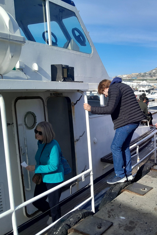 Cape Town: CAPE OF GOOD HOPE AND PENGUIN TOUR (PRIVATE) - Key Points