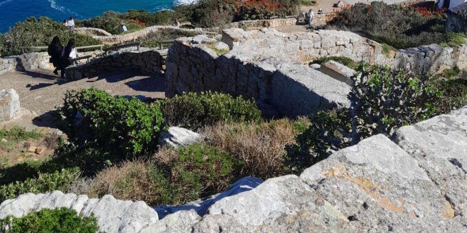 Cape Town: CAPE OF GOOD HOPE AND PENGUIN TOUR (PRIVATE) - Frequently Asked Questions