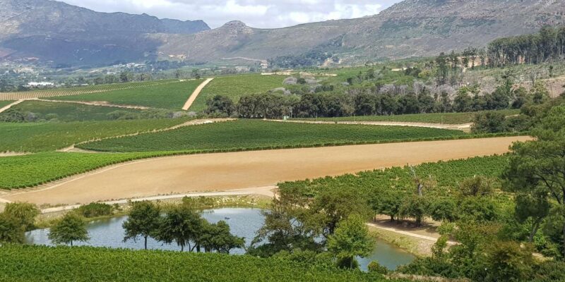 Cape Town: Cape Peninsula and Winelands Private Tour - Inclusions and Fees