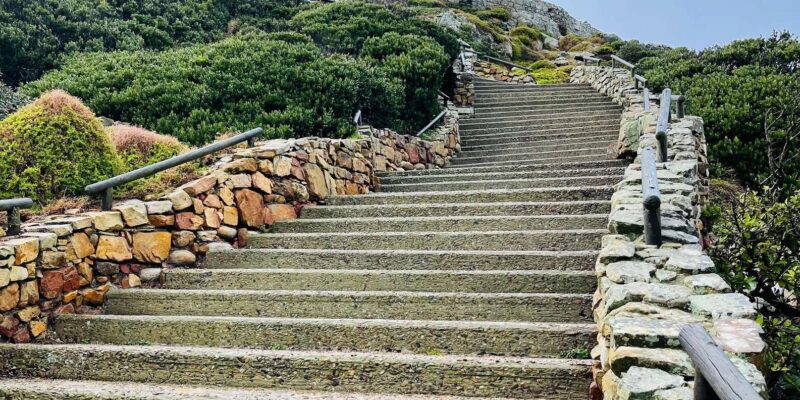 Cape Town: Cape Peninsula & Boulders Beach Private Tour - Additional Activities