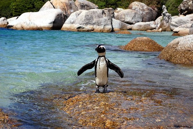 Cape Town: Cape Peninsula Private Tour Full Day - Booking and Cancellation