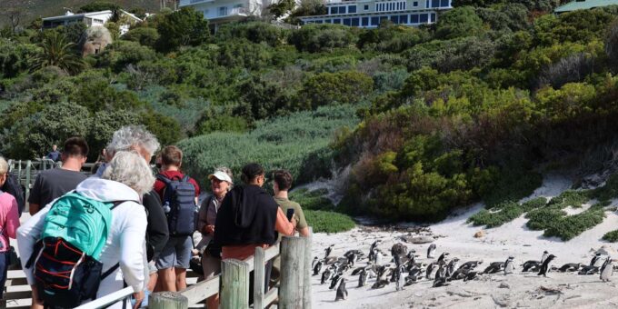 Cape Town: Cape Peninsula & Table Mountain Private Day Trip - Pickup Locations