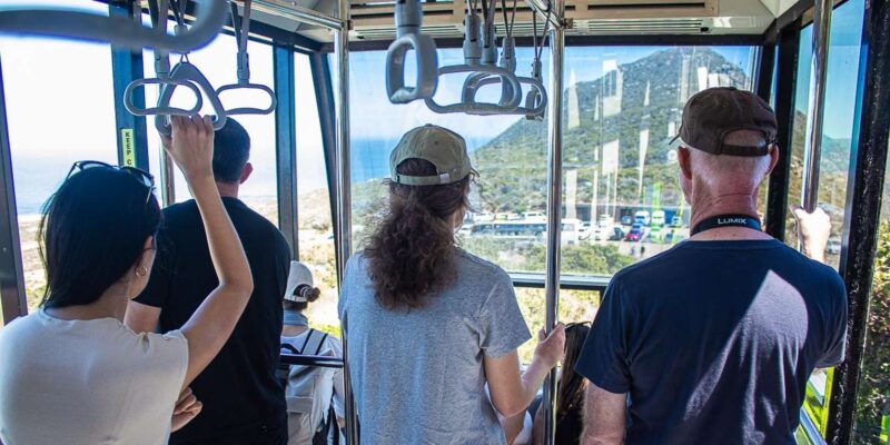 Cape Town: Cape Point and Cape of Good Hope Day Tour - Key Points