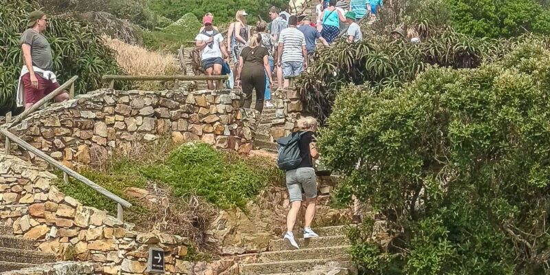 Cape Town: Cape Point and Cape of Good Hope Day Tour - Important Information