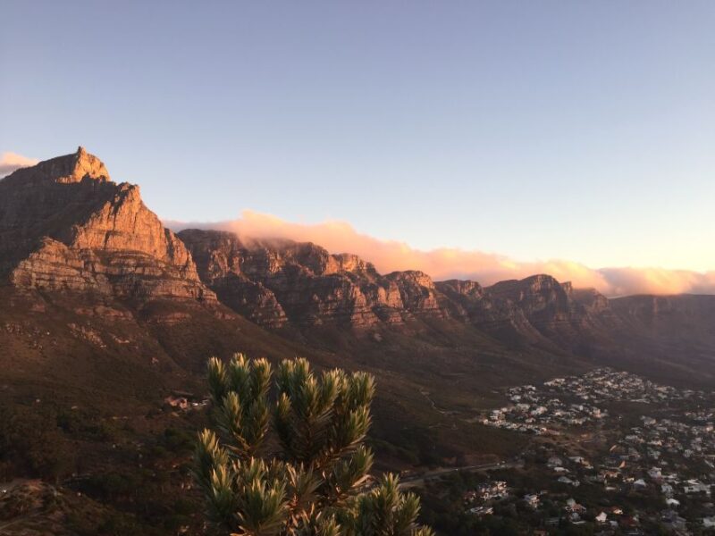 Cape Town: Cape Point and Penguin Colony Full Day Tour - Pickup and Drop-off