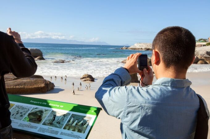 Cape Town: Cape Point and Penguin Colony Full Day Tour - Accommodation Pick-up Time