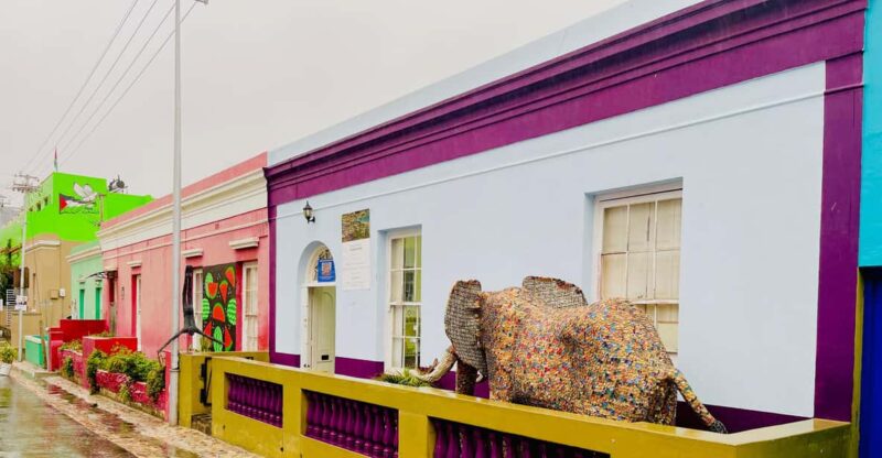 Cape Town: Cape Point & Boulders Beach Private Tour - Itinerary Highlights