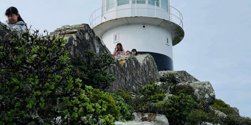 Cape Town: Cape Point & Boulders Beach Private Tour - Pickup and Drop-off Options