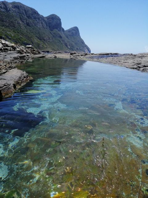 Cape Town: Cape Point Mountain Bike Rental With Route - Key Points