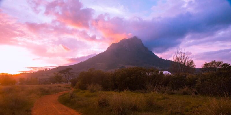 Cape Town: Cape Winelands Guided Hiking Tours - Experience Highlights