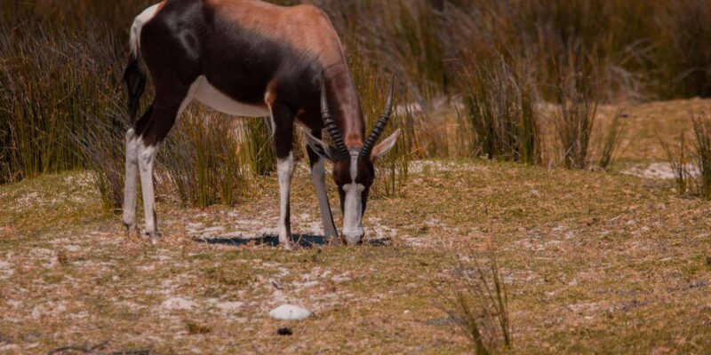 Cape Town: Cape Winelands Guided Hiking Tours - Important Information