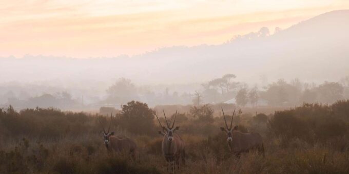 Cape Town: Cape Winelands Guided Hiking Tours - What to Bring