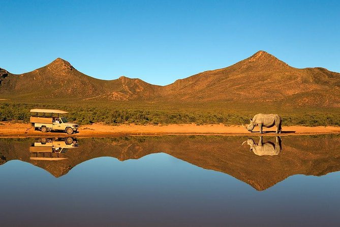 Cape Town City Pass Including Hop-On Hop-Off Bus Transport - In-Destination Information and Help Centers