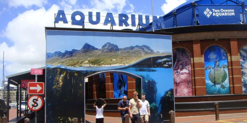 Cape Town City Small Group Day Tour - Experience Highlights
