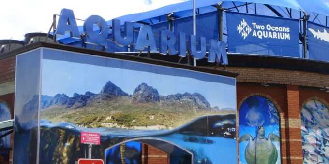 Cape Town City Small Group Day Tour - Lunch at Victoria & Alfred Waterfront