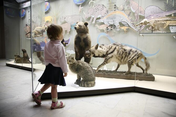 Cape Town City Tour Half-Day - Inclusions and Exclusions