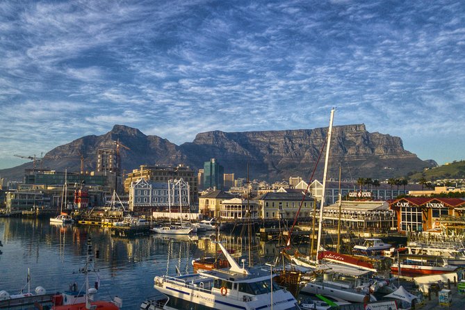 Cape Town City Tour Half-Day - Traveler Reviews and Experiences