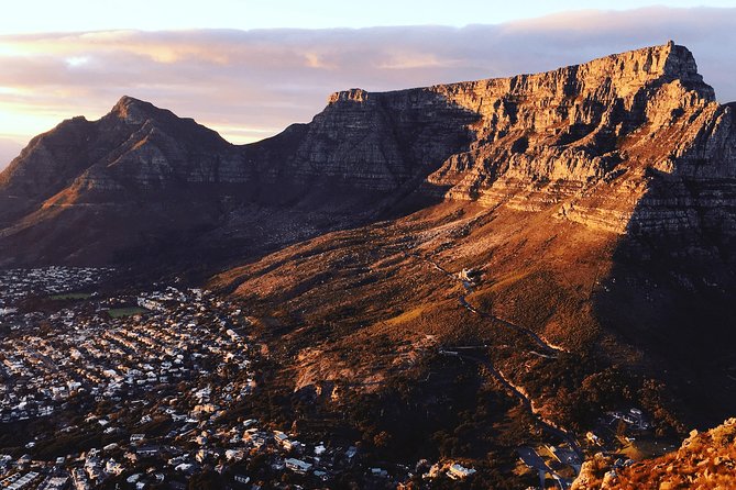 Cape Town City Tour Half-Day - Booking Information