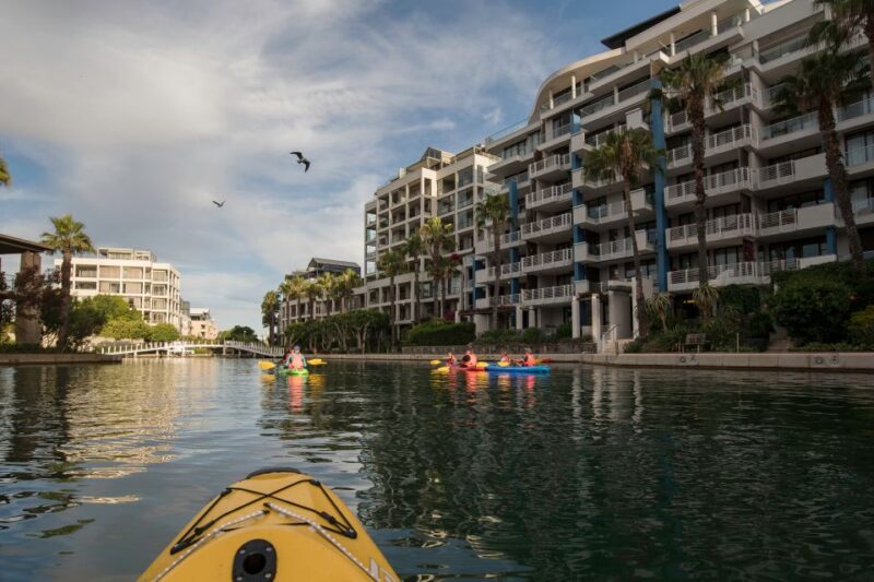 Cape Town: Day or Night Guided Kayak Tour in Battery Park - Kayak Safety and Briefing