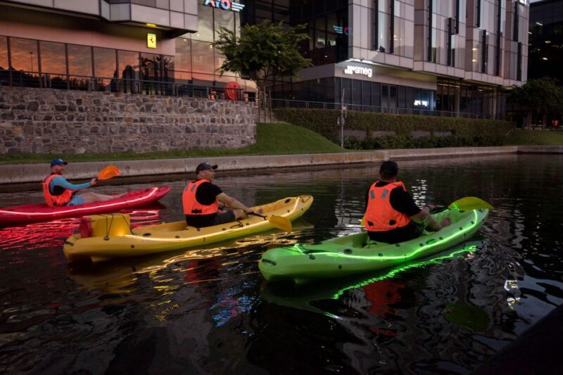 Cape Town: Day or Night Guided Kayak Tour in Battery Park - Tour Guides Insights and Expertise