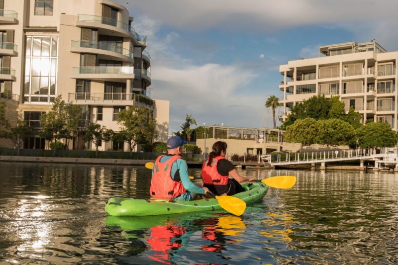 Cape Town: Day or Night Guided Kayak Tour in Battery Park - Suitable for Families and Groups