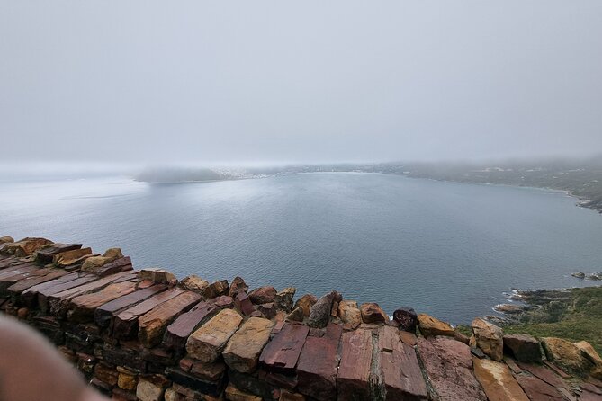 Cape Town Day Tours - Tour Highlights and Inclusions
