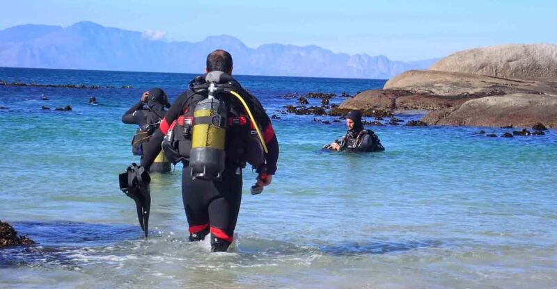 Cape Town: Discover Scuba Diving - 1 Day Experience - Key Points